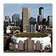 Target Center Green Roof