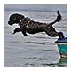 magen_water_trial_jumping